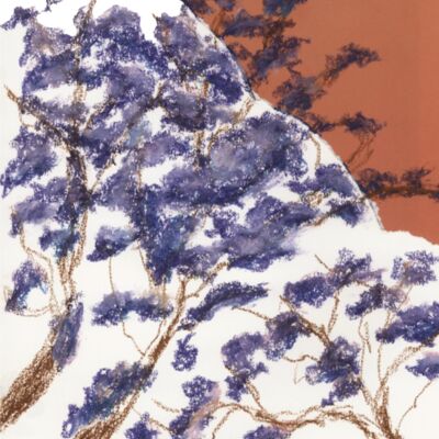 JACARANDA FRENTE 40X40 KM MENOS SATURACION Miniatura